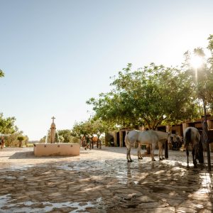 Galeria - Mallorca Polo Club