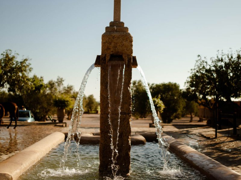 The Club - Mallorca Polo Club 4