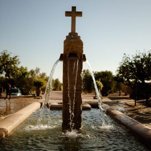 Galeria - Mallorca Polo Club