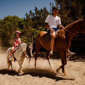 Galeria - Mallorca Polo Club