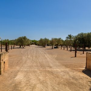 Galeria - Mallorca Polo Club
