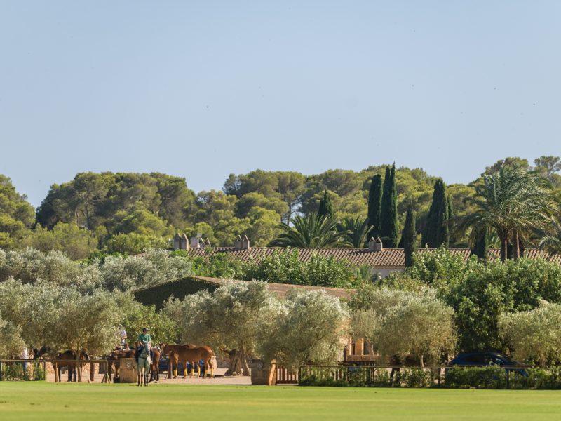 Copia de Eva Jakovle-0736