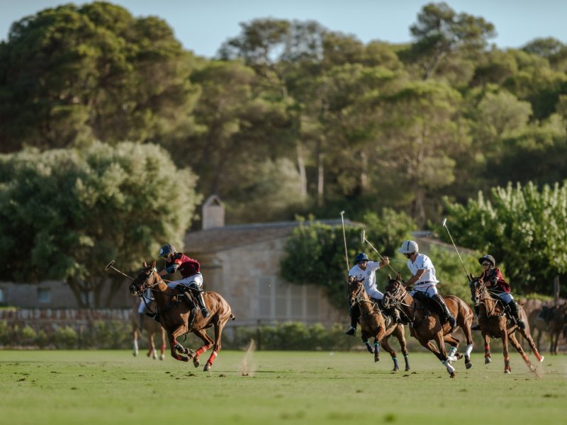 Copia de Eva Jakovle-1522