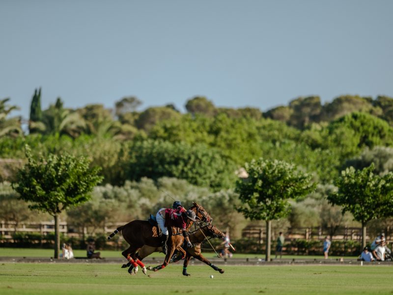 Copia de Eva Jakovle-1553