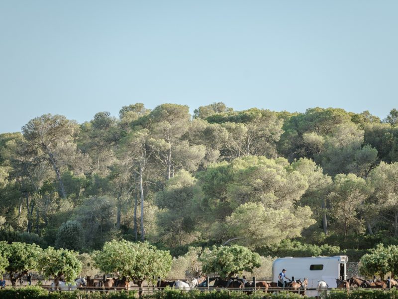 Copia de Eva Jakovle-1613