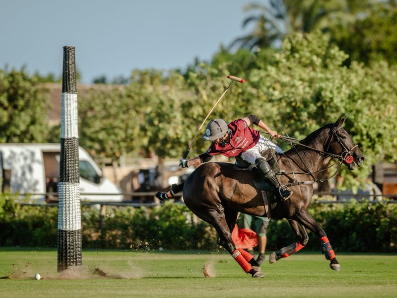 Copia de Eva Jakovle-1680