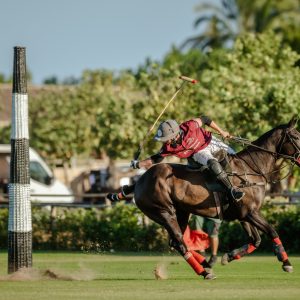 Galeria - Mallorca Polo Club