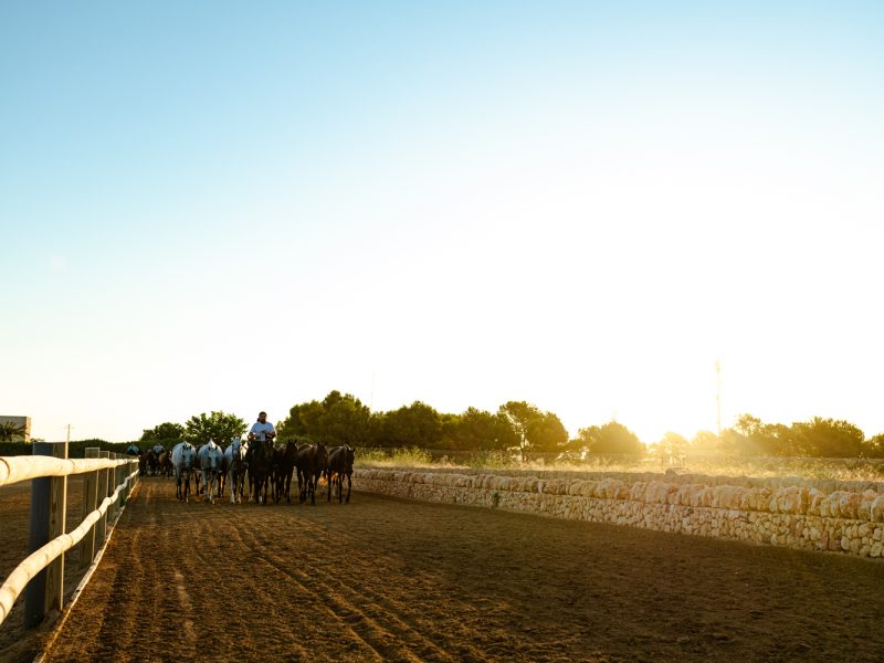 Copia de Eva Jakovle-2075