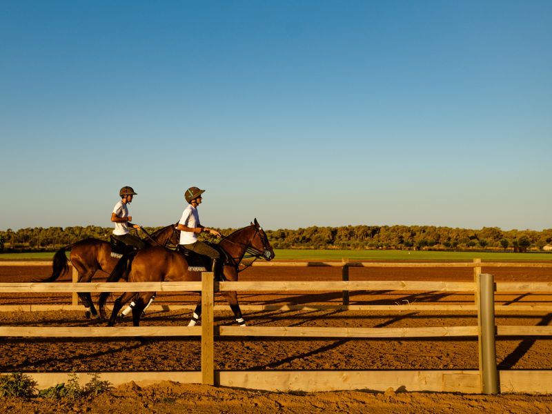 Copia de Eva Jakovle-2157