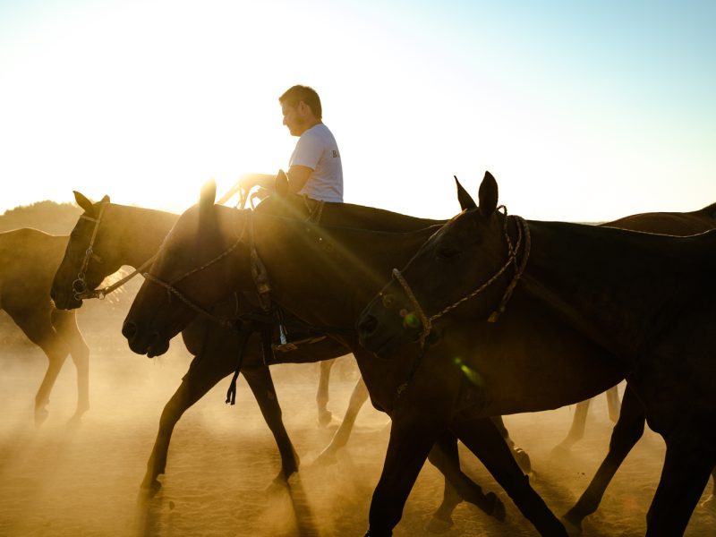 Copia de Eva Jakovle-2189