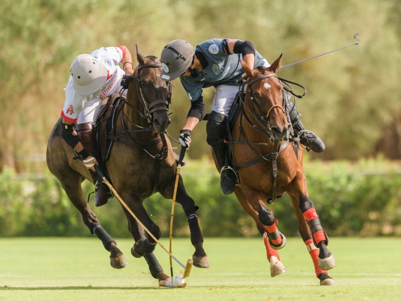 Copia de Eva Jakovle-6020