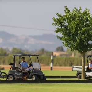 Galeria - Mallorca Polo Club