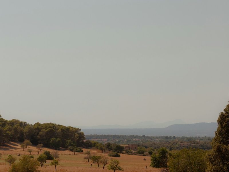 karl-hornfeldt-Lgh1neZd-cg-unsplash